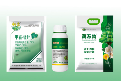 春季綠化工程樹木養(yǎng)護(hù)與大樹移栽成活率提升策略