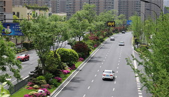 特色蘊(yùn)于細(xì)節(jié)，匠心鑄就精品——論綠化工程的卓越之道